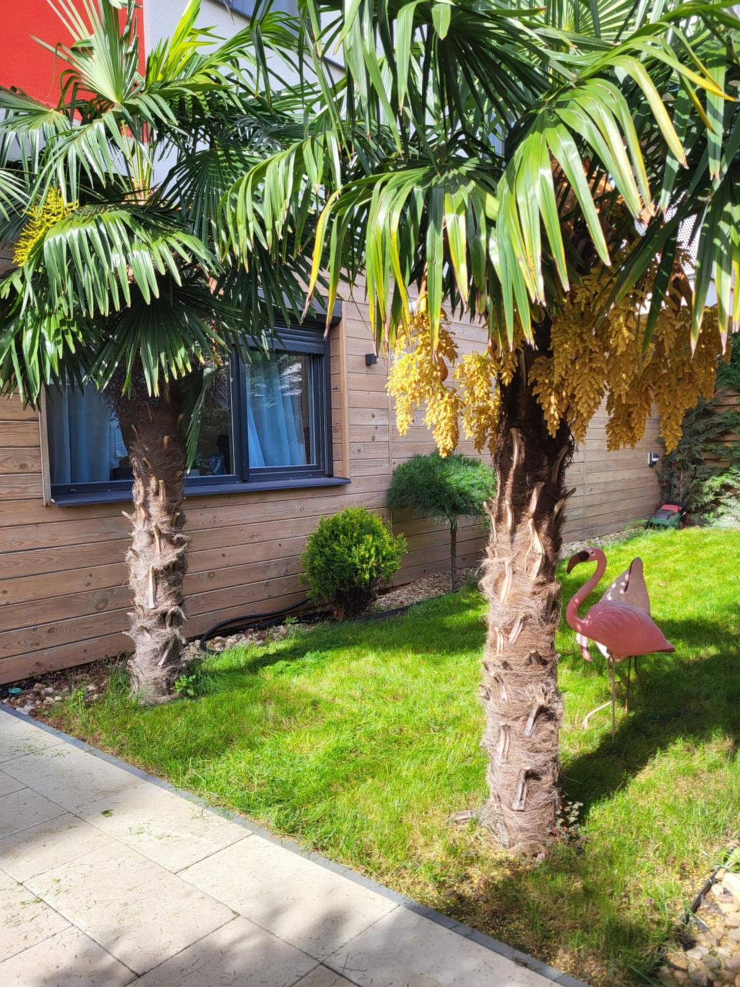 Sika Garden Apartment 阿拉德 外观 照片